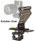 Kaidan Kiwi