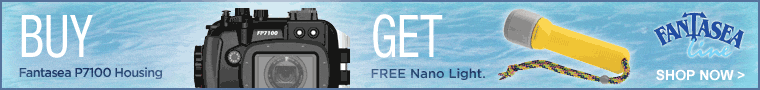 Fantasea Free Nano Light