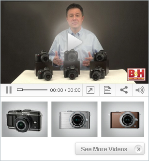 Entry Level DSLR's
