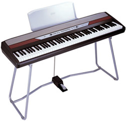 Korg SP250