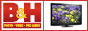 B&H Photo and Electronics