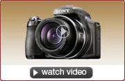 2009 Bridge Camera Buyer's Guide