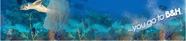 deepsea2.jpg