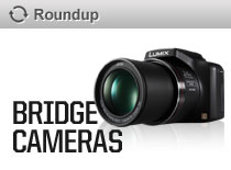 Bridge Cameras
