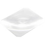 Arca-Swiss Lente Fresnel 8x10