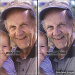 LEE Filters Filtro de Resina de Efeito Flesh Net com 4x4 polegadas (100 x 100mm)