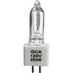 General Brand GCA Lamp - 250 Watts/120 Volts