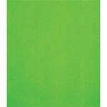 Studio Dynamics 8x9' Canvas Background SM - Chroma Key Green