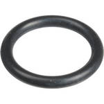 Ikelite O-Ring (Replacement)