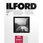 Ilford Multigrade 4 RC Portfolio 8x10/100 Pearl