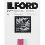 Ilford Multigrade 4 RC PORTFOLIO 11x14/50 Pearl