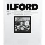 Ilford MG FB IV DW 20x24/10 Glossy