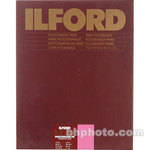 Ilford Multigrade FB Warmtone DW 20x24/10 Glossy
