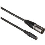 Comprehensive Mini Female to 3-Pin XLR Male Cable - 10'