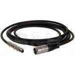 Comprehensive XLRP-SPJ-10EXF Female Phone to Male XLR Cable- 10' (3 m)