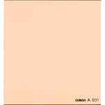 Cokin A031 - Filtro de Resina de Convers�o de Cor 85C