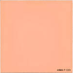 Cokin P029 - Filtro de Resina de Convers�o de Cor 85A