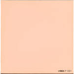 Cokin P031 - Filtro de Resina de Convers�o de Cor 85C