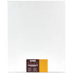 Ilford Multigrade FB Warmtone DW 8x10/250 Semi-Matte