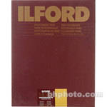 Ilford Multigrade FB Warmtone DW 16x20/10 Semi-Matte