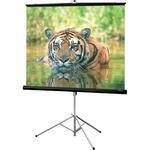 Draper Consul Portable Tripod Screen - 50 x 50" - Glass Beaded
