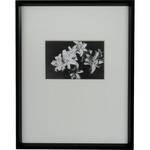 Nielsen & Bainbridge Gallery Frame - 11x14" Mat with 4x6" Opening