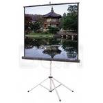 Da-Lite 40111 Picture King Tripod Front Projection Screen (50x50")