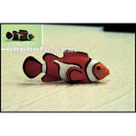Cokin P036 - Filtro de Resina Fluorescente FL-W para Filme Daylight