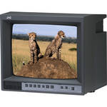 JVC TM-A13SU - Monitor Colorido de 13" 