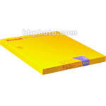 Kodak Portra-160NC 8x10" 10 Sheets Professional Color Print Film (ISO-160)