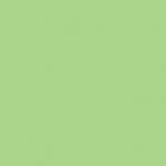 Gam 1/2 Plus Green Cine Filter (20x24" Sheet)