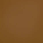 Cokin X-Pro 045 Sepia (Light) Resin Filter