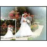 Cokin P140 Oval Center Spot/White Resin Filter