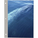 Pioneer Photo Albums #LM-100 Refill for Promotional 100 Page Magnetic Three-Ring Album