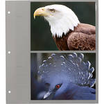 Pioneer Photo Albums Refill for Oval Framed Album #WF-5781
