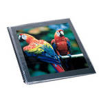 ClearFile Refill Pages for 11x17" Prestige Portfolio - 10 Pack