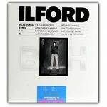 Ilford Multigrade Cooltone RC 8x10/100 Glossy