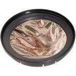 Celestron Solar Filter