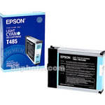 Epson Light Cyan Cartridge