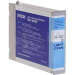 Epson Light Cyan Cartridge