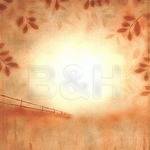 Lastolite 5x6' Collapsible Scenic Background - Summer Paddock