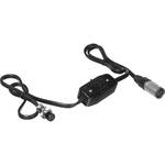 Cool-Lux CC-8231 - Cabo de Alimenta��o DC Espiralado com XLR de 4 pinos 
