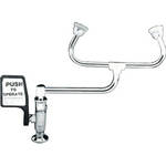 Arkay RG-1806 Left Hand / Eye Wash Station - Deck Mounted