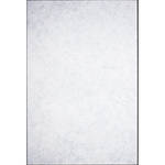 Studio Dynamics Canvas Background, Light Stand Mount - 5x6' - Camille