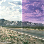Hoya 55mm Graduated Mauve Filter
