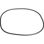Ikelite O-Ring (Reposi��o) 