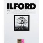 Ilford Ilfobrom Galerie FB DW 16x20/50 #3 Glossy