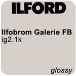 Ilford Ilfobrom Galerie FB DW 20x24/10 #2 Glossy