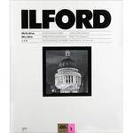 Ilford Ilfobrom Galerie FB DW 20x24/10 #3 Glossy