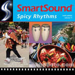 SmartSound Spicy Rhythms (44k) - Audio Palette Volume 11